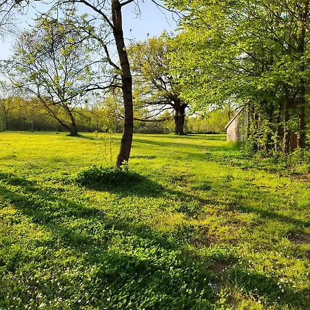 De La Janiere アパート *