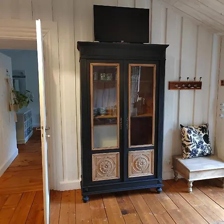 De La Janiere 卢瓦尔河畔圣吕斯