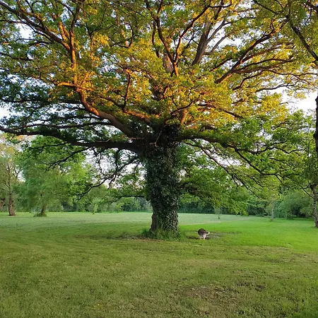 De La Janiere 公寓 *