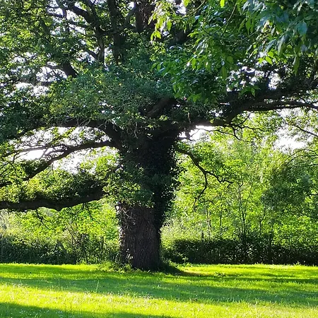 De La Janiere 卢瓦尔河畔圣吕斯