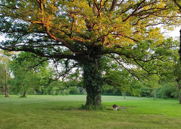 De La Janiere Lejlighed *