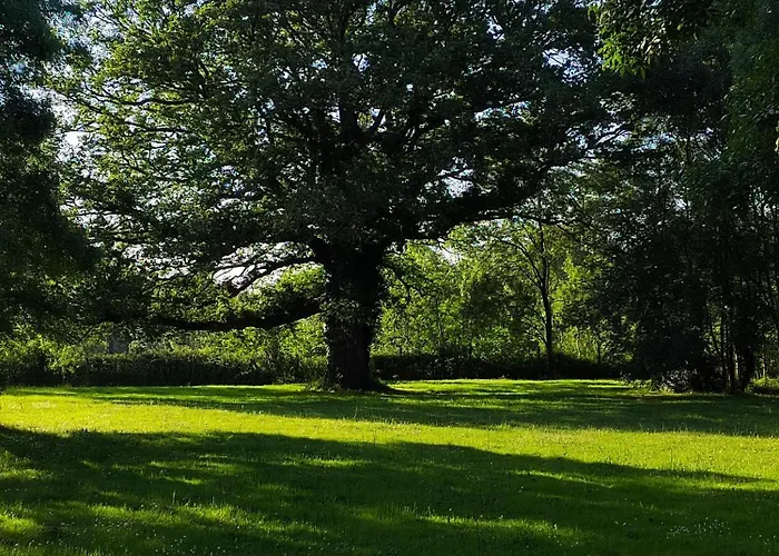 Lejlighed De La Janiere