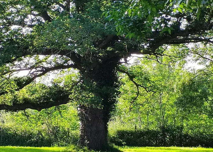De La Janiere Sainte-Luce-sur-Loire